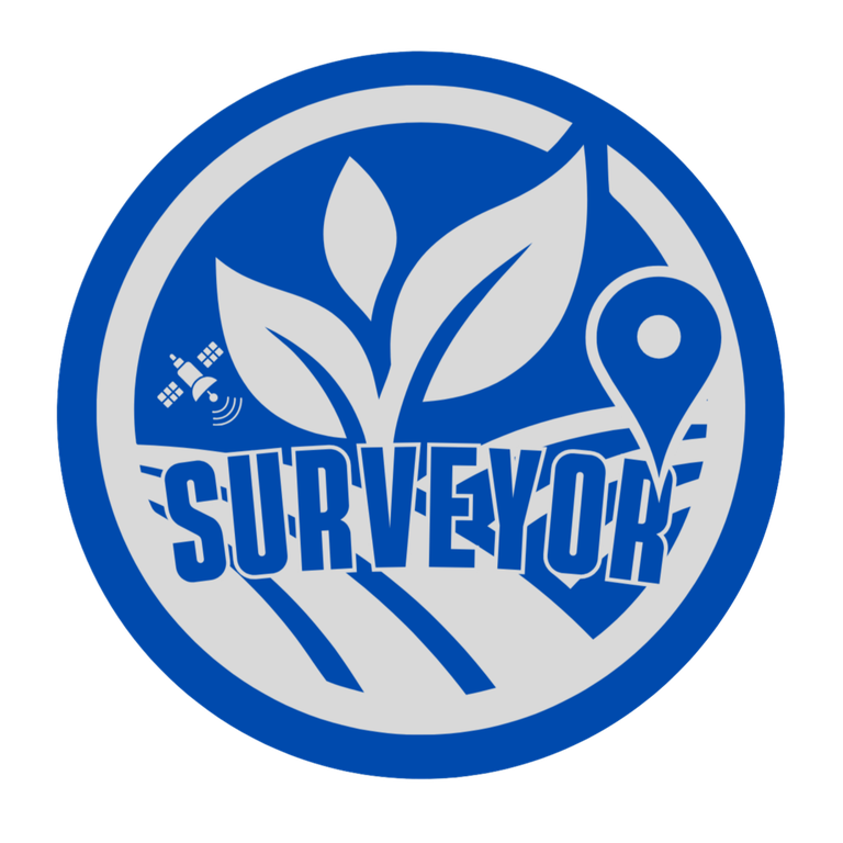 Logo do Surveyor